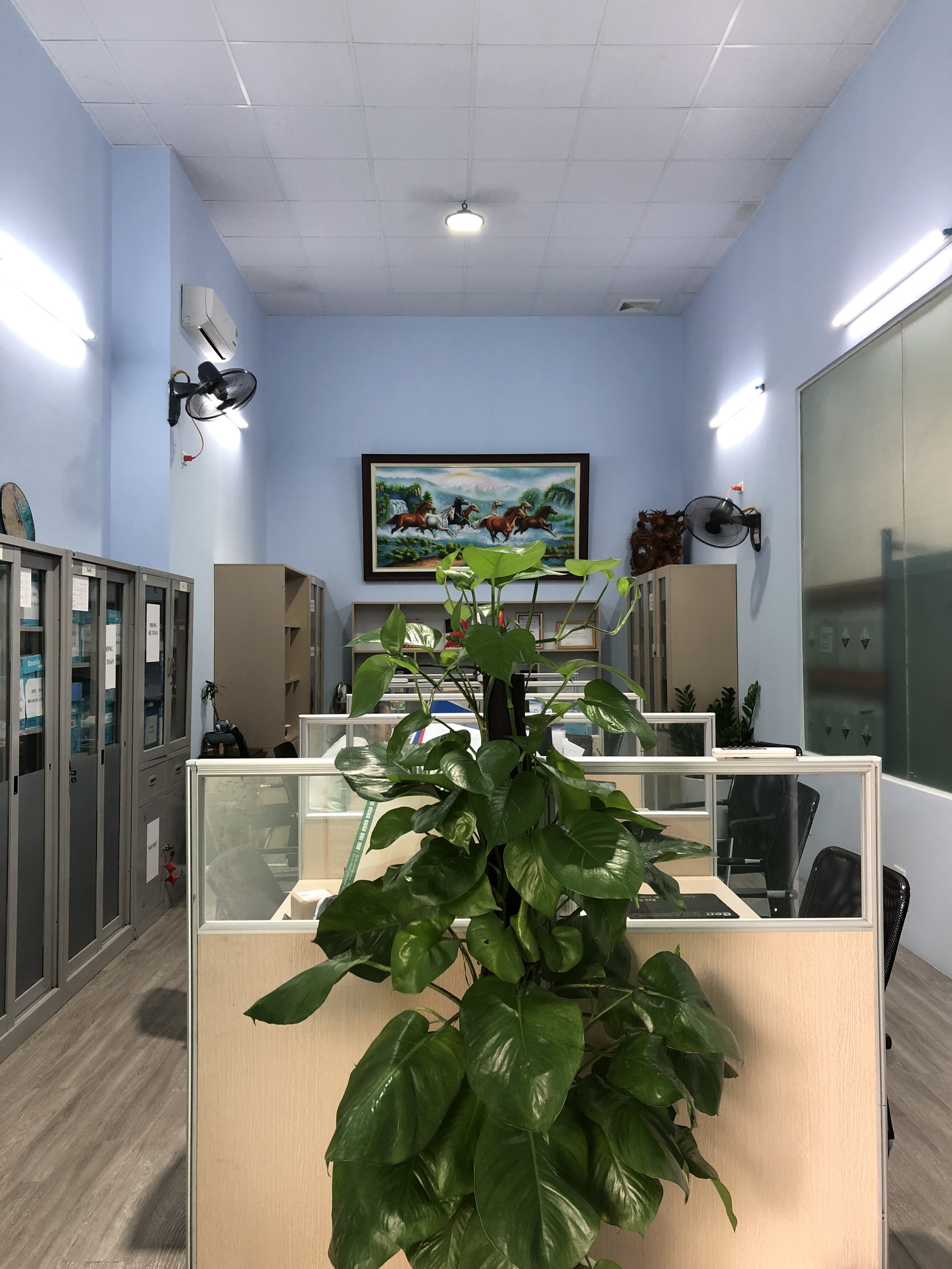 lĩnh vực hoạt động